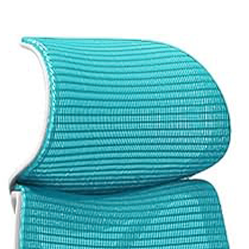 Aqua headrest
