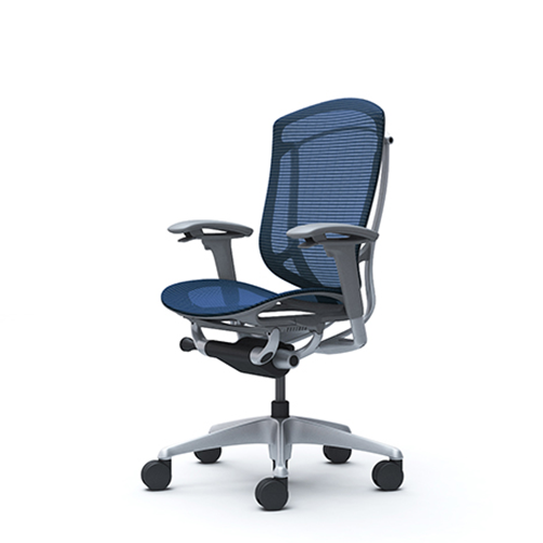 blue ergonomic chair