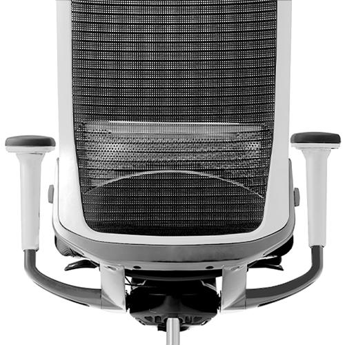 ergonomic chair, choral, lumbar support