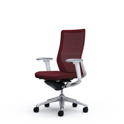 ergonomic chair, seating chair, office chair, high end office chair, imported chair, japan office chair, choral office chair